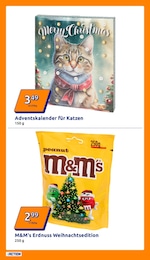 Action Adventskalender im Prospekt 