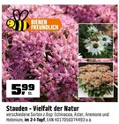 Stauden - Vielfalt der Natur Angebote bei OBI Arnsberg für 5,99 €