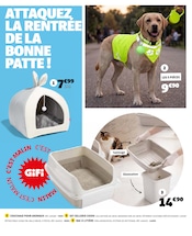 Promos Litière dans le catalogue "LA RENTRÉE MENTION TRÈS BIEN !" de Gifi à la page 22