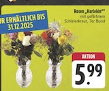 Rosen 'Harlekin' im Angebot bei E center in Suhl Rosen 'Harlekin' Angebote bei E center Suhl für 5,99 €