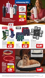 Lidl Hundebett im Prospekt 