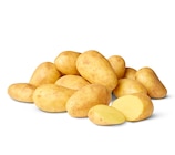 Raclette-Kartoffeln Angebote bei Penny Stralsund für 1,29 €