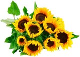 Sonnenblumen im Angebot bei REWE in Lehrte Sonnenblumen Angebote bei REWE Lehrte für 2,99 €