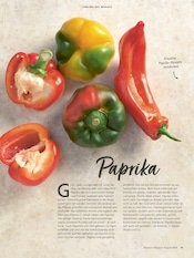 Aktueller Alnatura Prospekt mit Paprika, "Alnatura Magazin", Seite 19