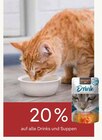 20 % Rabatt von  im aktuellen Pflanzen Kölle Prospekt für 