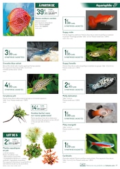 Promos Plante Aquarium dans le catalogue "ON A TOUS UNE BONNE RAISON DE SE RAPPROCHER DE LA NATURE" de Botanic à la page 7