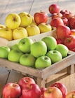 Intermarché Super Jacou - Promo Pomme Promo Pomme à 1,49 € dans le catalogue Intermarché Super à Jacou