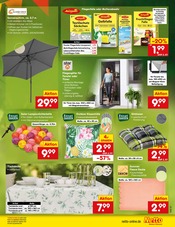 Fliegengitter im Netto Marken-Discount Prospekt in Lüdenscheid Aktueller Netto Marken-Discount Prospekt mit Fliegengitter, "Aktuelle Angebote", Seite 70