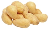 REWE Herne - Kartoffeln Angebot im Prospekt Kartoffeln bei REWE im Herne Prospekt für 5,49 €