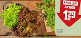Aktuelles Wurzelsalat Angebot bei REWE in Offenbach (Main) ab 1,29 €