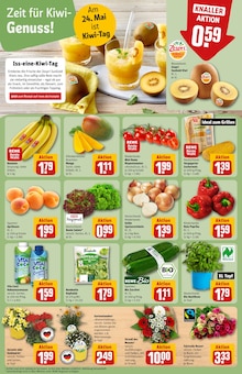 Pflanzen im REWE Prospekt "Dein Markt" mit 36 Seiten (Ludwigshafen (Rhein))