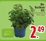 Bio-Basilikum XXL im Angebot bei EDEKA in Ravensburg Bio-Basilikum XXL Angebote bei EDEKA Ravensburg für 2,49 €