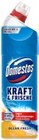 WC-Gel Kraft & Frische im Angebot bei Kaufland in Paderborn WC-Gel Kraft & Frische Angebote von Domestos bei Kaufland Paderborn für 1,59 €