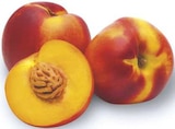 famila Nordwest - Nektarinen Angebot im Prospekt Nektarinen bei famila Nordwest im Prospekt "" für 1,79 €
