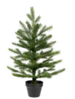 Tannenbaum im Angebot bei Möbel Wallach in Langenhagen Tannenbaum Angebote bei Möbel Wallach Langenhagen für 14,95 €