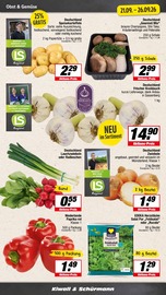 Paprika im EDEKA Prospekt in Unna Aktueller EDEKA Prospekt mit Paprika, "Aktuelle Angebote", Seite 5