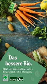 Flammkuchen im REWE Prospekt in Hattingen Aktueller REWE Prospekt mit Flammkuchen, "Dein Markt", Seite 27