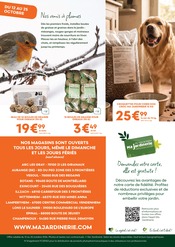 Promos Croquettes Chien dans le catalogue "L'automne, c'est la saison des racines !" de Ma Jardinerie Croquettes Chien en promo dans le catalogue Ma Jardinerie à la page 8