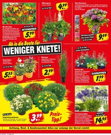 Aktueller Repo Prospekt "Aktuelle Angebote" Aktueller Repo Prospekt