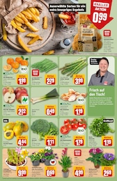 REWE Kräuter im Prospekt 