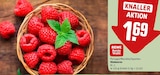 Himbeeren Angebote von REWE Beste Wahl bei REWE Oberursel für 1,69 €