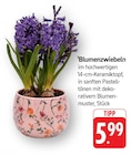 Blumenzwiebeln Angebote bei E center Albstadt für 5,99 €