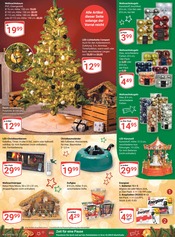 Weihnachtsbaum im GLOBUS Prospekt in Stutensee Aktueller GLOBUS Prospekt mit Weihnachtsbaum, "Aktuelle Angebote", Seite 36