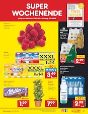 Aktueller Netto Marken-Discount Prospekt mit Milka, "Aktuelle Angebote", Seite 31