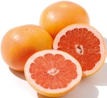 Grapefruit im aktuellen Netto mit dem Scottie Prospekt