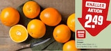 Orangen von REWE Beste Wahl im aktuellen REWE Prospekt für 2,49 €