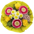 Geschenkstrauß im Angebot bei Kaufland in Ulm Geschenkstrauß Angebote bei Kaufland Ulm für 9,99 €