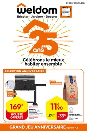 Offre Accessoires bricolage dans le catalogue Weldom du moment à la page 1