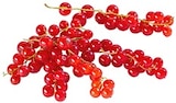 Dtsch. Johannisbeeren Angebot in Malberg Dtsch. Johannisbeeren im aktuellen Prospekt bei Kaufland in Malberg