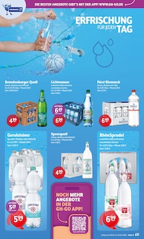 Wasser im Getränke Hoffmann Prospekt "Aktuelle Angebote" mit 10 Seiten (Cottbus)