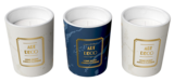 Home Scent Jungle Flowers im Angebot bei PEPCO in Lutherstadt Wittenberg Home Scent Jungle Flowers Angebote von ART DECO bei PEPCO Lutherstadt Wittenberg für 4,00 €