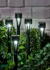 LED-Solarstecker für 5,99 € bei Penny im Angebot LED-Solarstecker im aktuellen Penny Prospekt