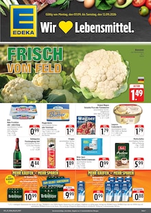 EDEKA Bannewitz Prospekt der aktuellen Woche, gültig von 07.09.2026 bis 12.09.2026 Aktueller EDEKA Bannewitz Prospekt "Wir lieben Lebensmittel!" mit 4 Seiten