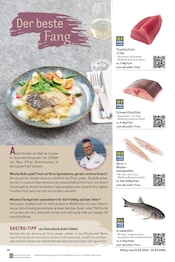 Aktueller METRO Prospekt mit Thunfisch, "Saisonkatalog Frühling", Seite 14