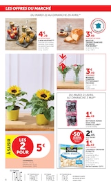 Plante Verte en promo dans le catalogue U Express à la page 6