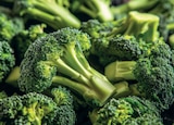 Brocoli dans le catalogue Hmarket