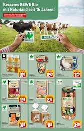 Kasseler Angebot im aktuellen REWE Prospekt auf Seite 19