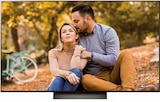 OLED TV OLED55C49LA Angebote von LG bei expert Seelze für 1.699,00 €