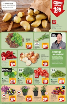 Spargel im aktuellen REWE Prospekt (Bielefeld) Spargel im REWE Prospekt "Dein Markt" mit 34 Seiten (Bielefeld)