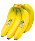 Bio-Bananen im EDEKA Prospekt Bio-Bananen von EDEKA im aktuellen EDEKA Prospekt für 1,79 €