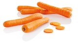 Carottes en promo chez Lidl Dunkerque à 1,48 €