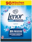Waschmittel Angebote von Lenor bei Netto mit dem Scottie Stralsund für 17,99 €
