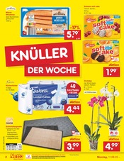 Ähnliche Angebote wie Kunstrasen im Prospekt "Aktuelle Angebote" auf Seite 2 von Netto Marken-Discount in Lemgo
