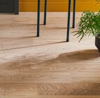 BON PLAN SUR LE PARQUET CHICAGO à Lapeyre dans Toulon BON PLAN SUR LE PARQUET CHICAGO à Lapeyre dans Toulon