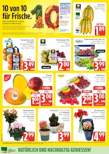 Marktkauf Prospekt der aktuellen Woche, gĂĽltig von 26.10.2026 bis 31.10.2026 Aktueller Marktkauf Prospekt "Top Angebote" mit 32 Seiten
