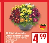 Heimatliebe Chrysanthemen-Schale von EDEKA für 4,99 € bei EDEKA im Angebot Heimatliebe Chrysanthemen-Schale von EDEKA im aktuellen EDEKA Prospekt